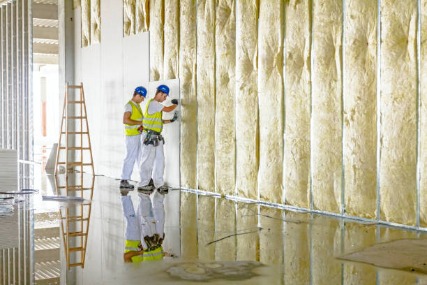 Best Fiberglass Insulation in Elkins, WV